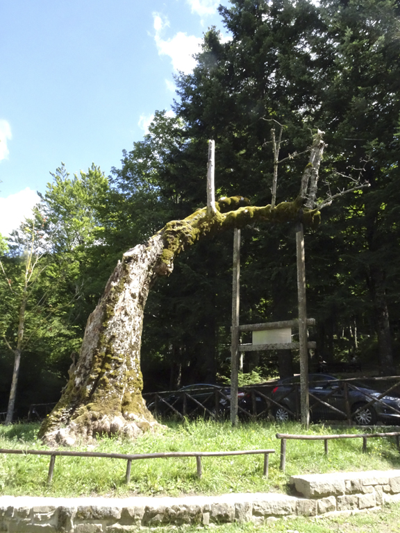 Acero_Lizzano_Santuario (3)